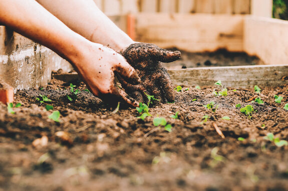eg-les_mains_dans_la_terre.jpg