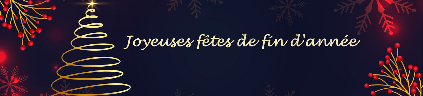Bannière ENT Noël.png